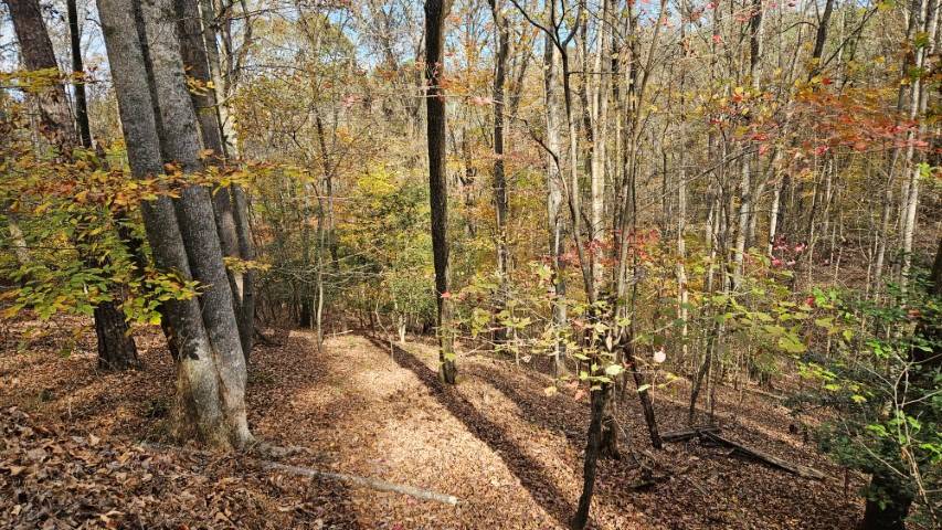 Epworth, GA 30540,Lot 266 Catawba Circle