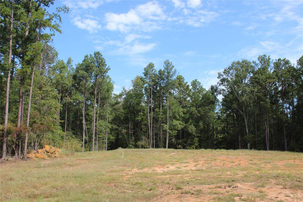 Minden, LA 71055,314 Wilderness Trail