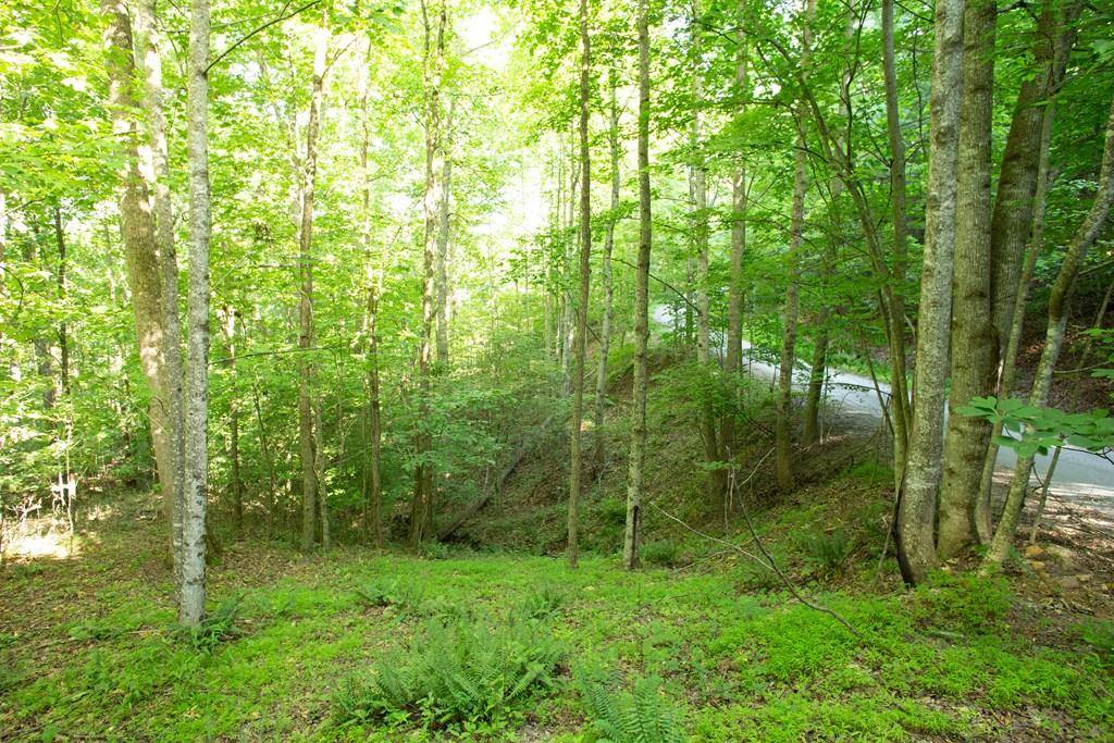 Blairsville, GA 30512,Lot 175 AJ's Holler