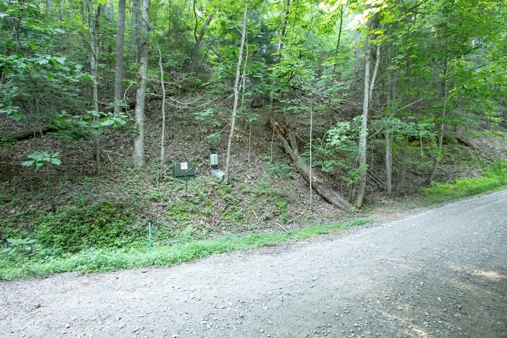 Blairsville, GA 30512,Lot 168 AJ's Holler