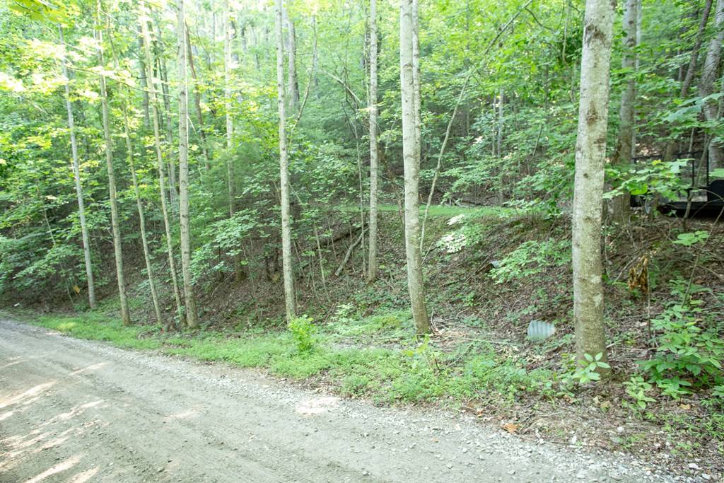 Blairsville, GA 30512,Lot 168 AJ's Holler