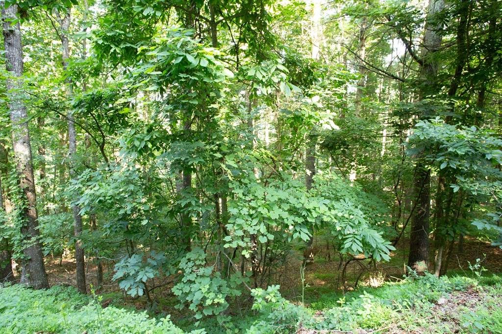 Blairsville, GA 30512,Lot 47 Mountain Top Road