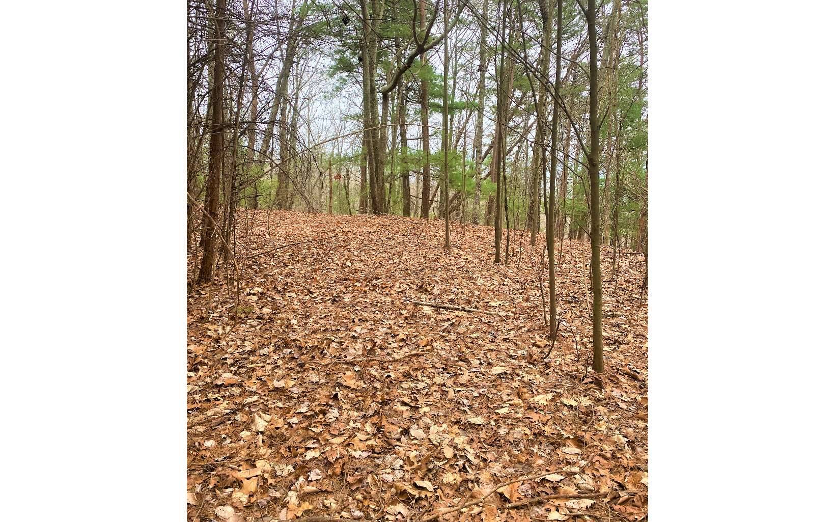 Ellijay, GA 30705,LOT 7 Brushy Top Drive