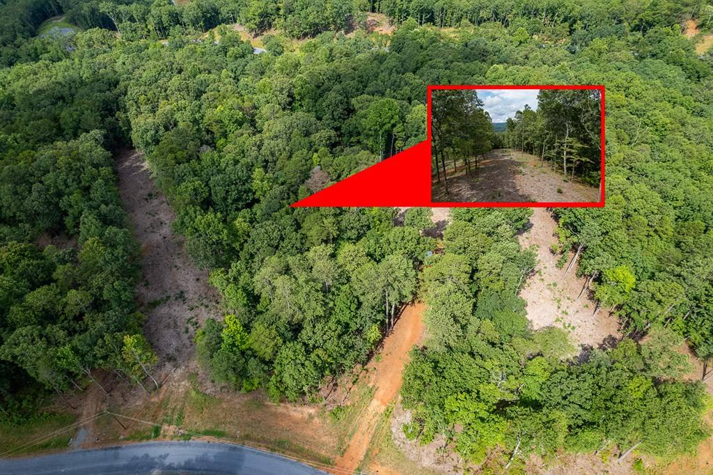 Talking Rock, GA 30175,Lot 315 Pebble Trace