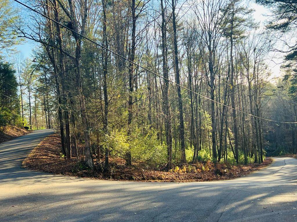 Ellijay, GA 30540,Lot 622 Sapulpa Court