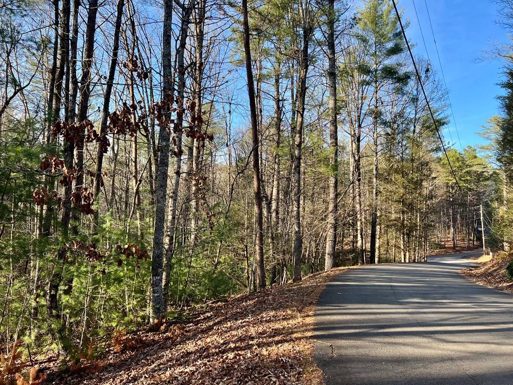 Ellijay, GA 30540,Lot 622 Sapulpa Court