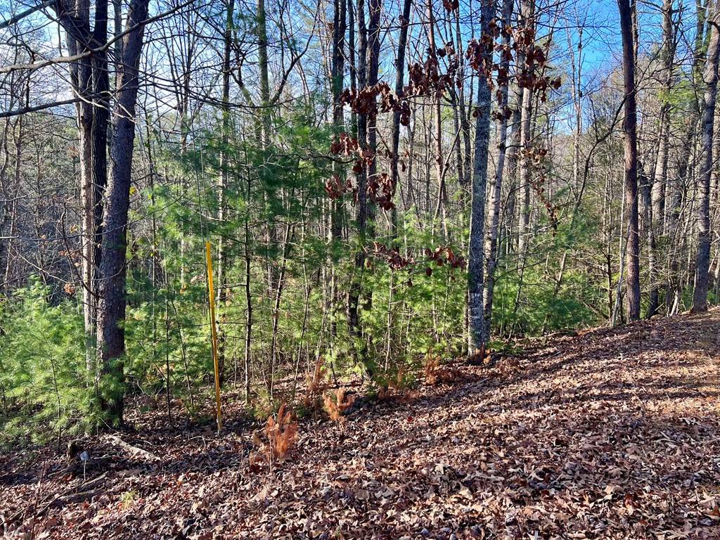 Ellijay, GA 30540,Lot 622 Sapulpa Court