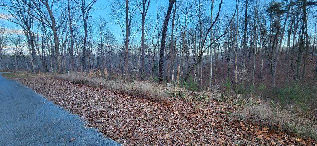 Ellijay, GA 30540,Lot 88 Hilton Drive