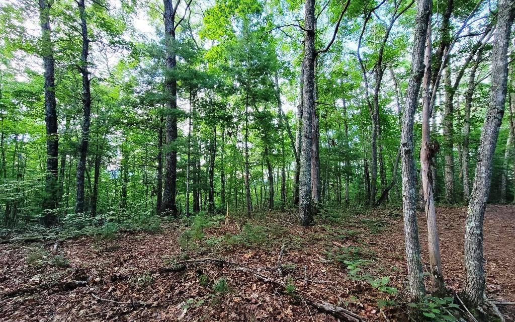 Murphy, NC 28906,LOT 21 Rye Field Road