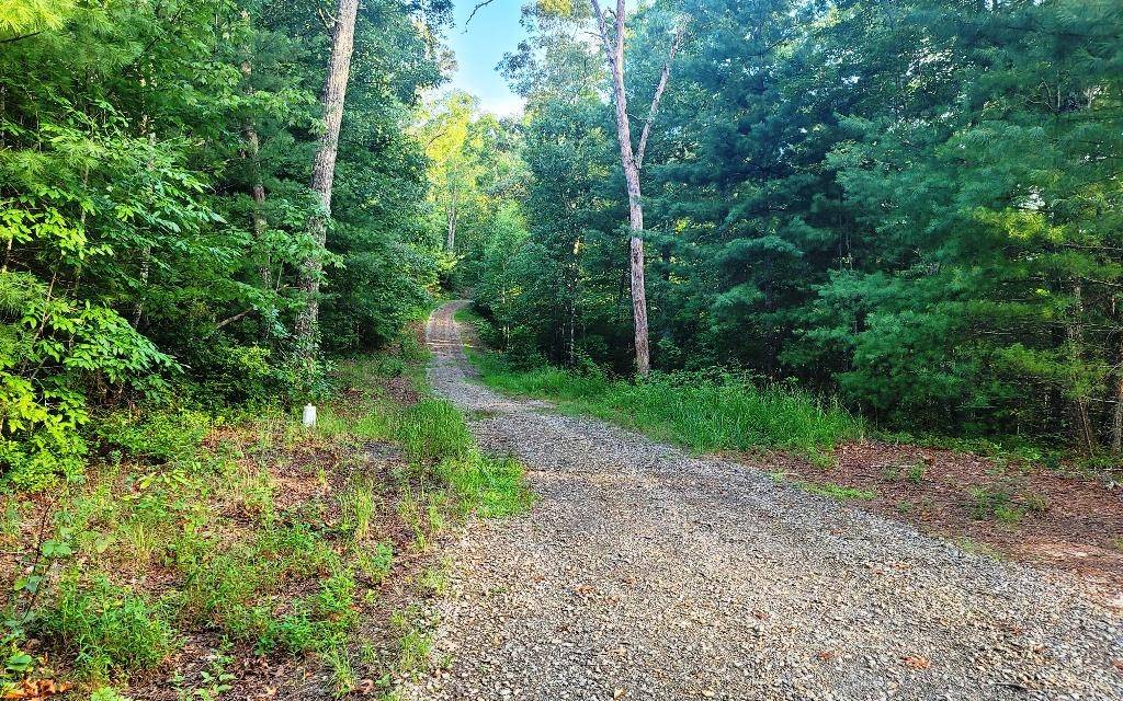 Murphy, NC 28906,LOT 21 Rye Field Road