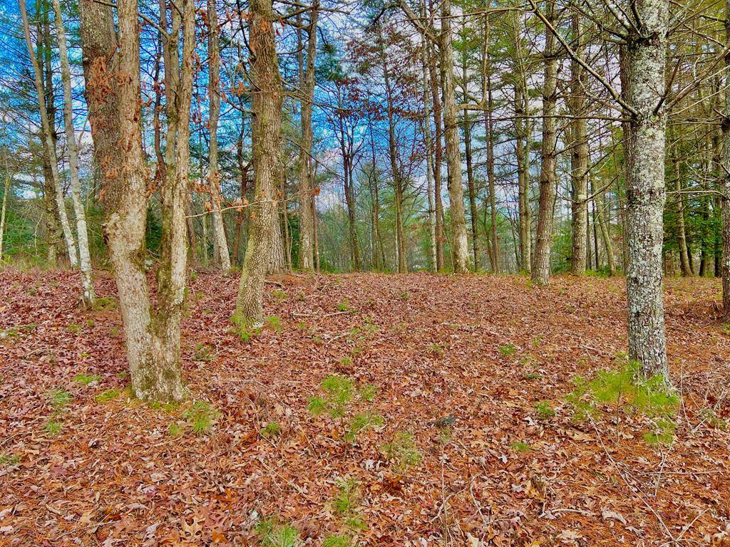 Morganton, GA 30560,Lot 5 Hawks View