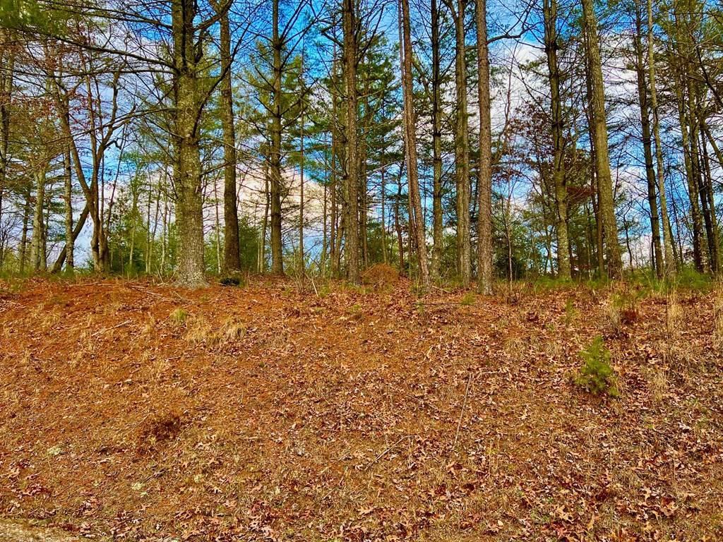 Morganton, GA 30560,Lot 5 Hawks View