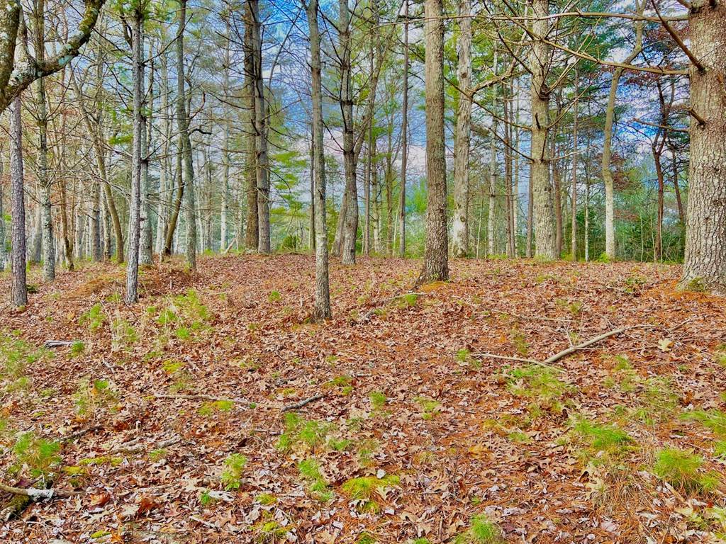 Morganton, GA 30560,Lot 5 Hawks View