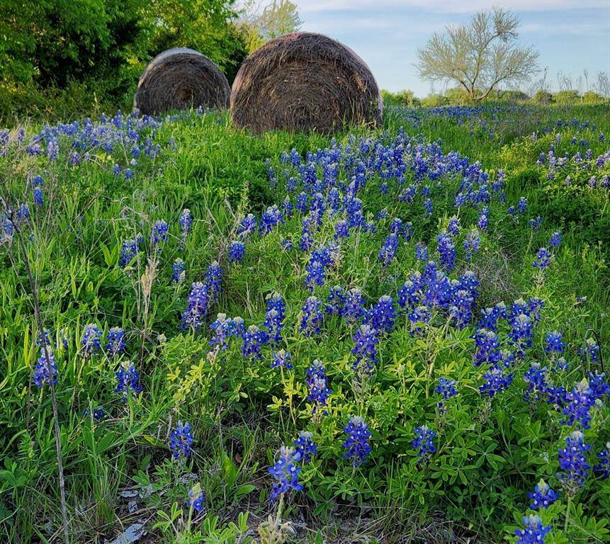 Lone Oak, TX 75453,TBD 8.48 acres FM 513 S