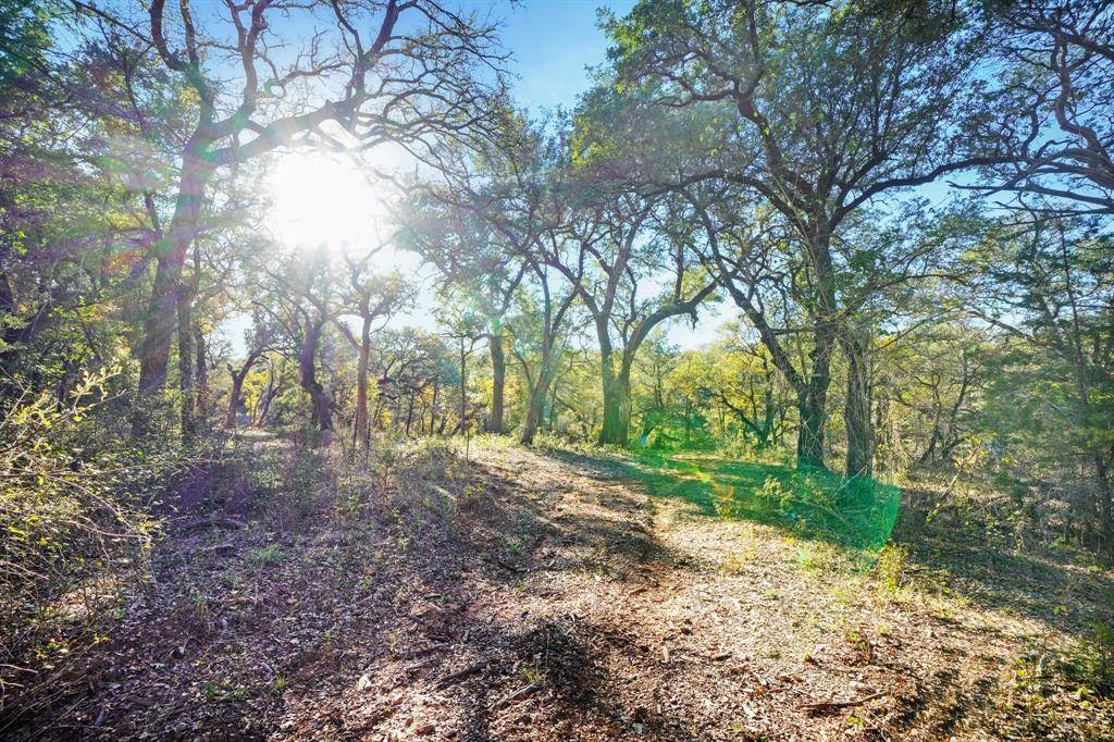 Palo Pinto, TX 76484,3061 Canyon Ranch Road