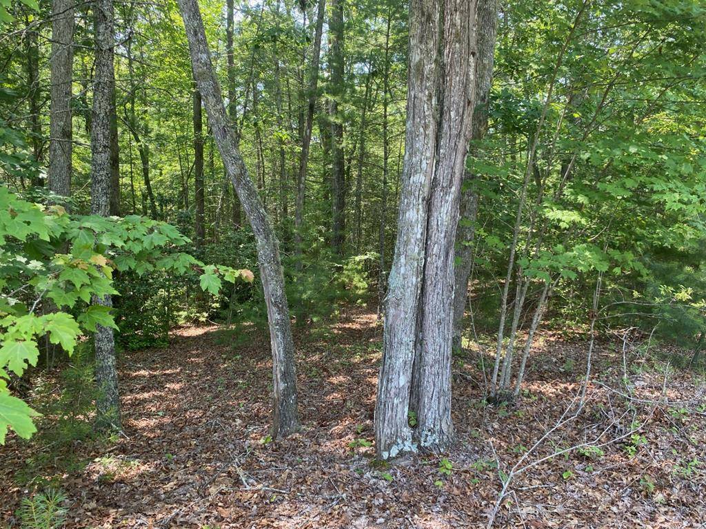 Murphy, NC 28906,Lot 34 Point Overlook Trail