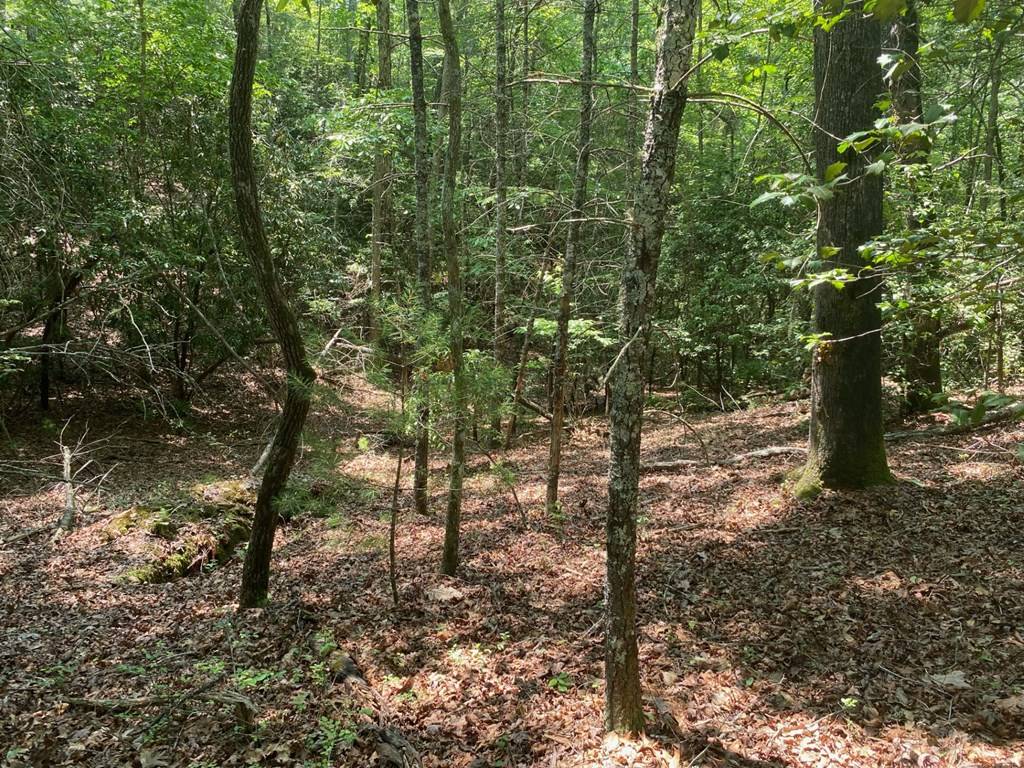 Murphy, NC 28906,Lot 34 Point Overlook Trail