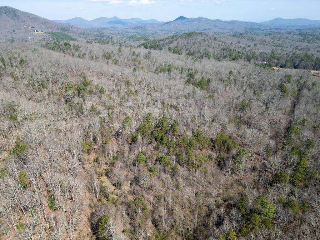 Mineral Bluff, GA 30559,0 Scots Glen Road