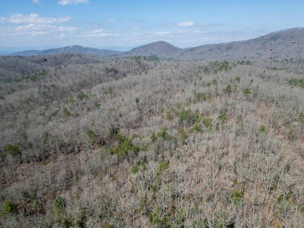 Mineral Bluff, GA 30559,0 Scots Glen Road