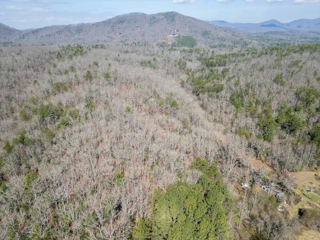 Mineral Bluff, GA 30559,0 Scots Glen Road