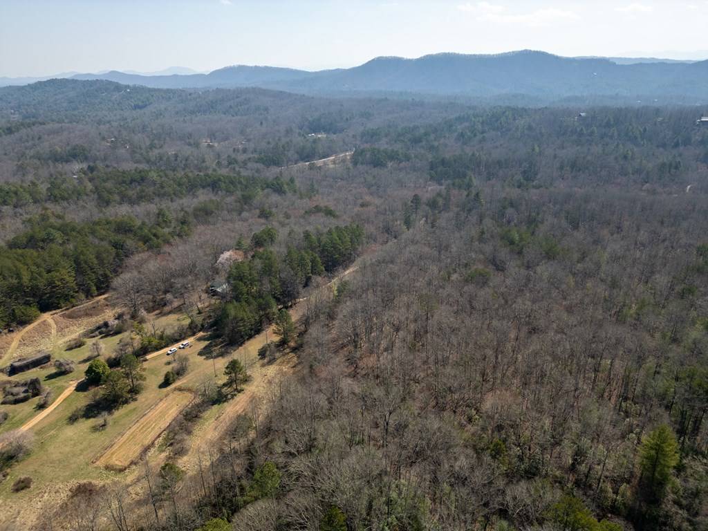 Mineral Bluff, GA 30559,0 Scots Glen Road