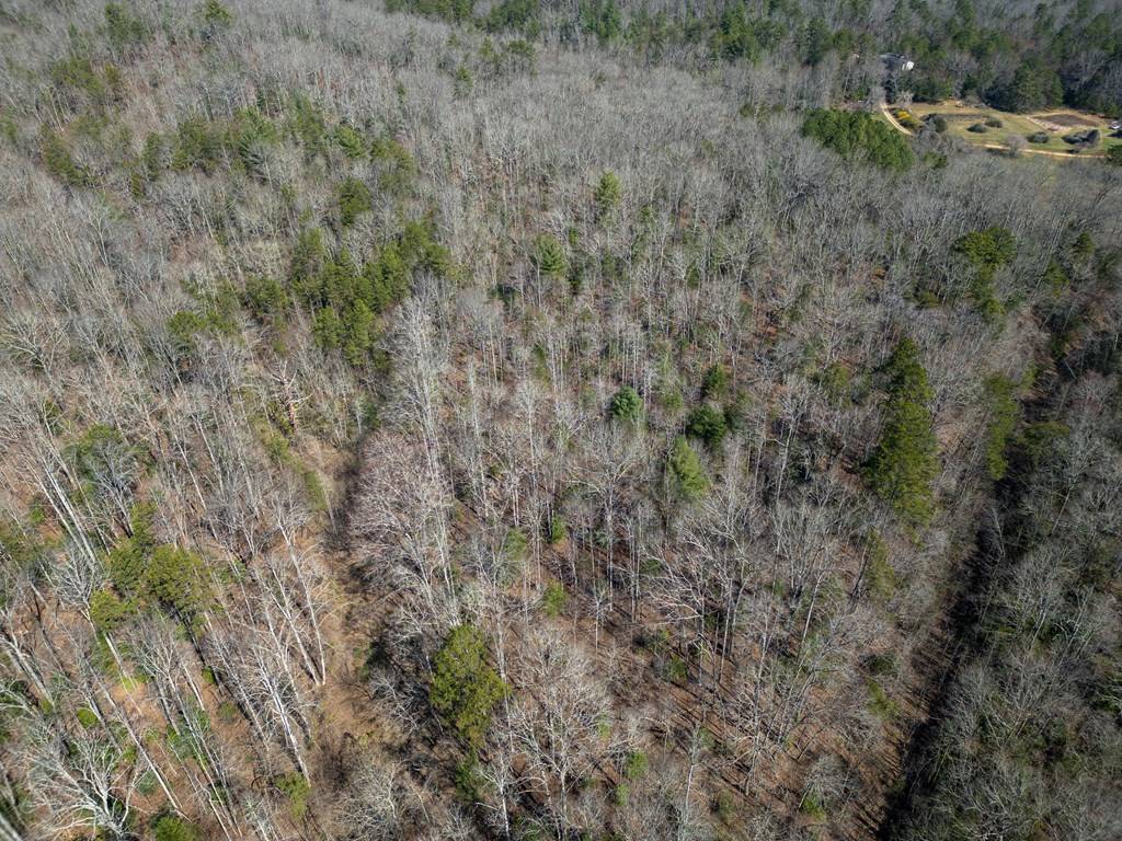 Mineral Bluff, GA 30559,0 Scots Glen Road