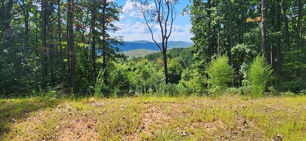 Ellijay, GA 30536,2234 Piney Spur Road