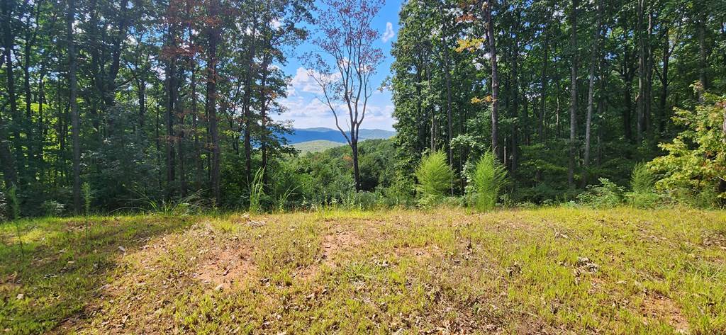 Ellijay, GA 30536,2234 Piney Spur Road