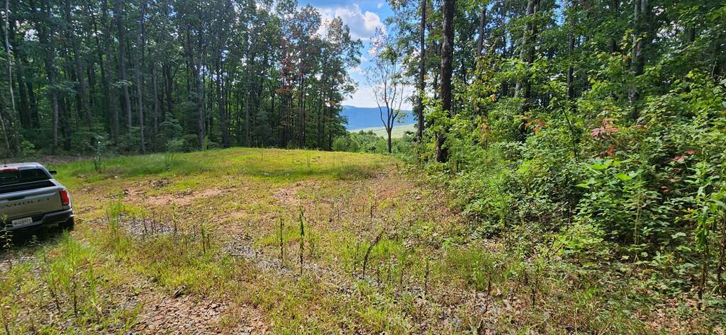 Ellijay, GA 30536,2234 Piney Spur Road