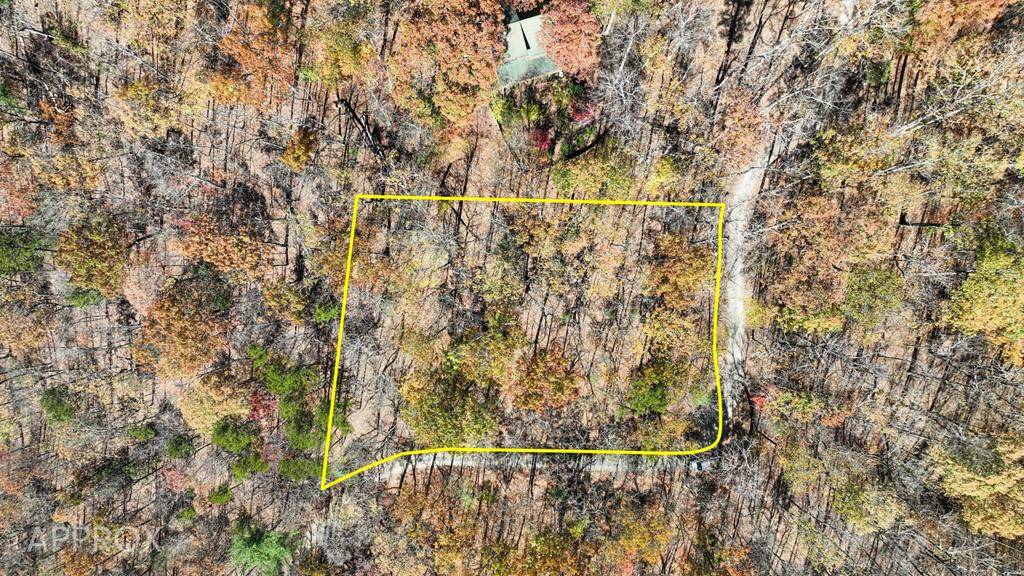 Morganton, GA 30560,LOT 56 Heards Ridge Road