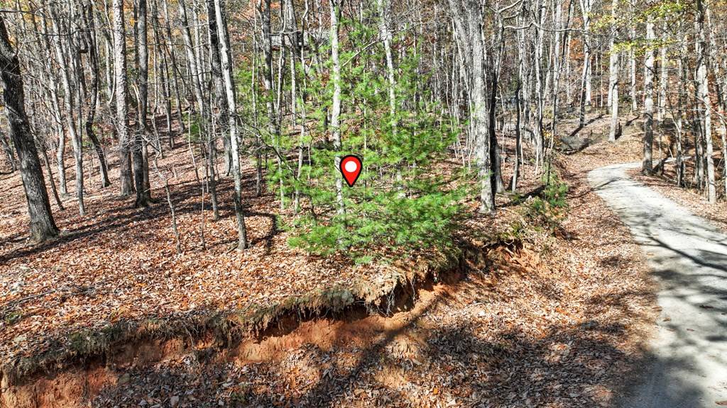 Morganton, GA 30560,LOT 56 Heards Ridge Road