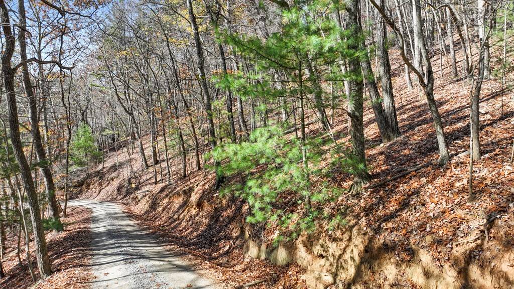 Morganton, GA 30560,LOT 56 Heards Ridge Road