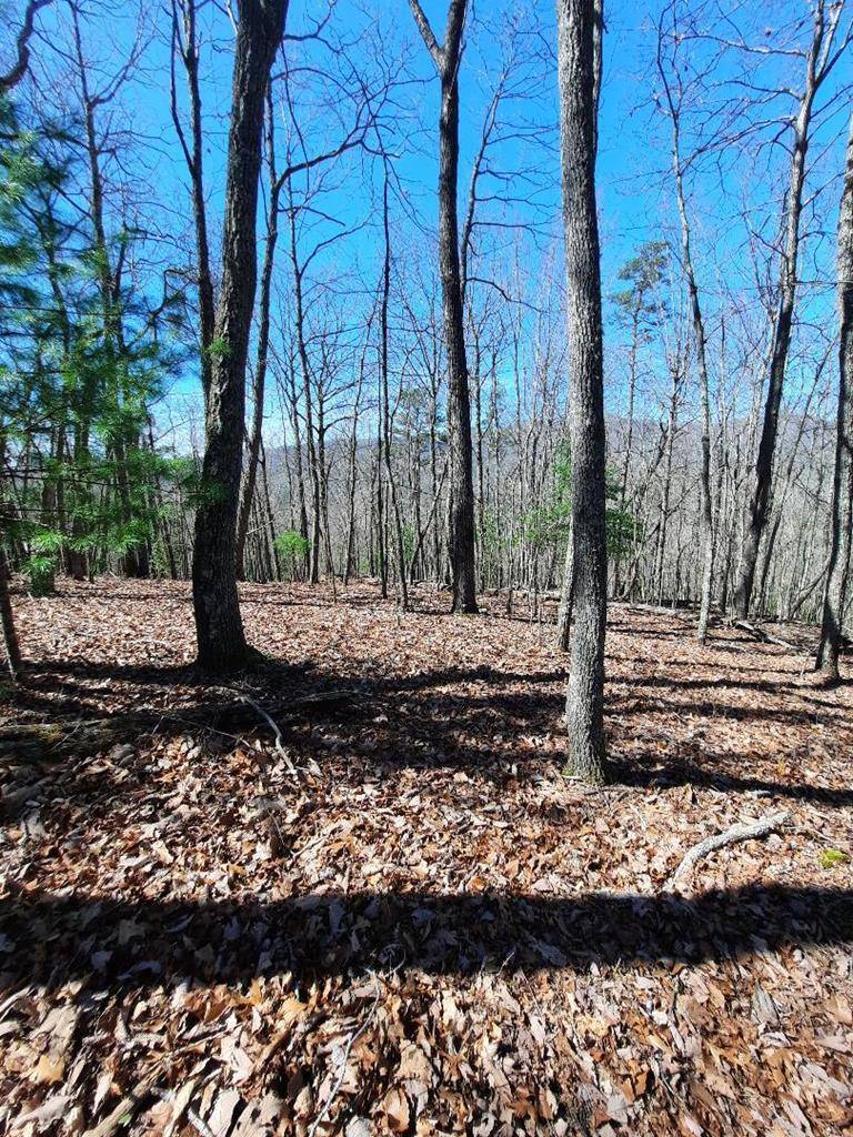 Murphy, NC 28906,Lot # 7 Quail Run Ridge