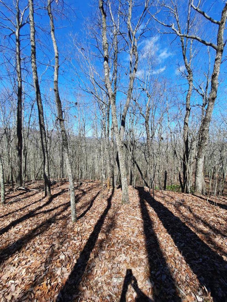 Murphy, NC 28906,Lot # 7 Quail Run Ridge