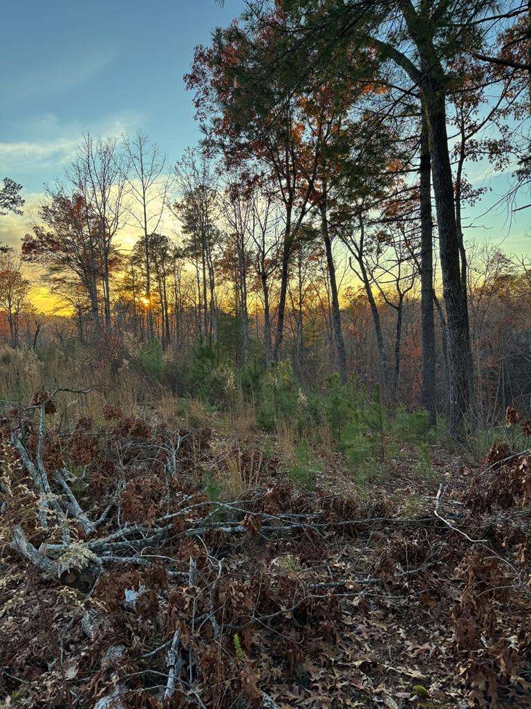 Ellijay, GA 30541,LOT 133 Sundown Trail