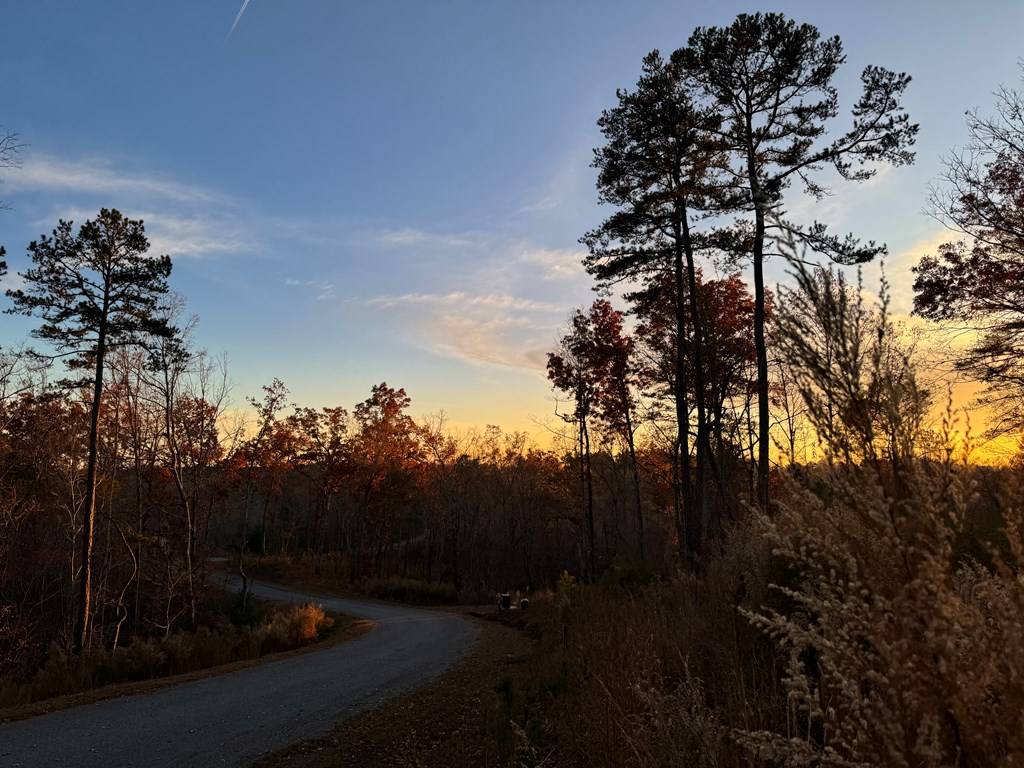 Ellijay, GA 30541,LOT 133 Sundown Trail