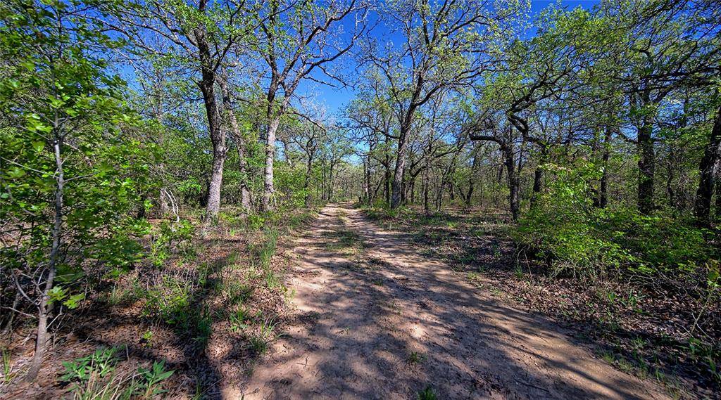 Nocona, TX 76255,1138 Quail Run Road