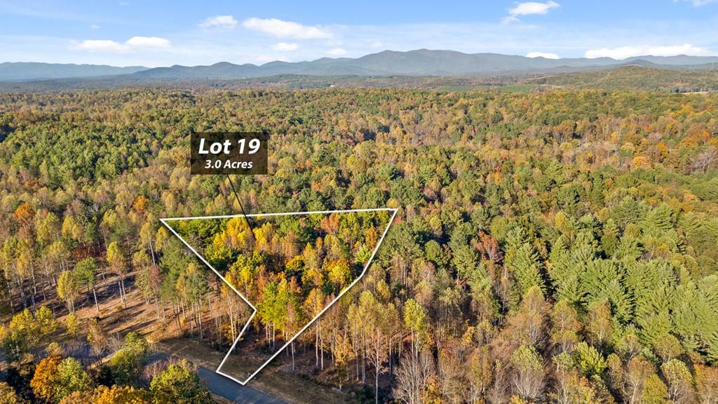 Talking Rock, GA 30175,Lot 19 Bravo Way