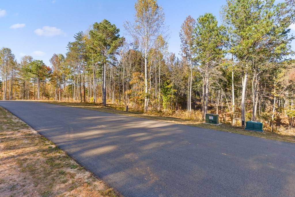 Talking Rock, GA 30175,Lot 19 Bravo Way