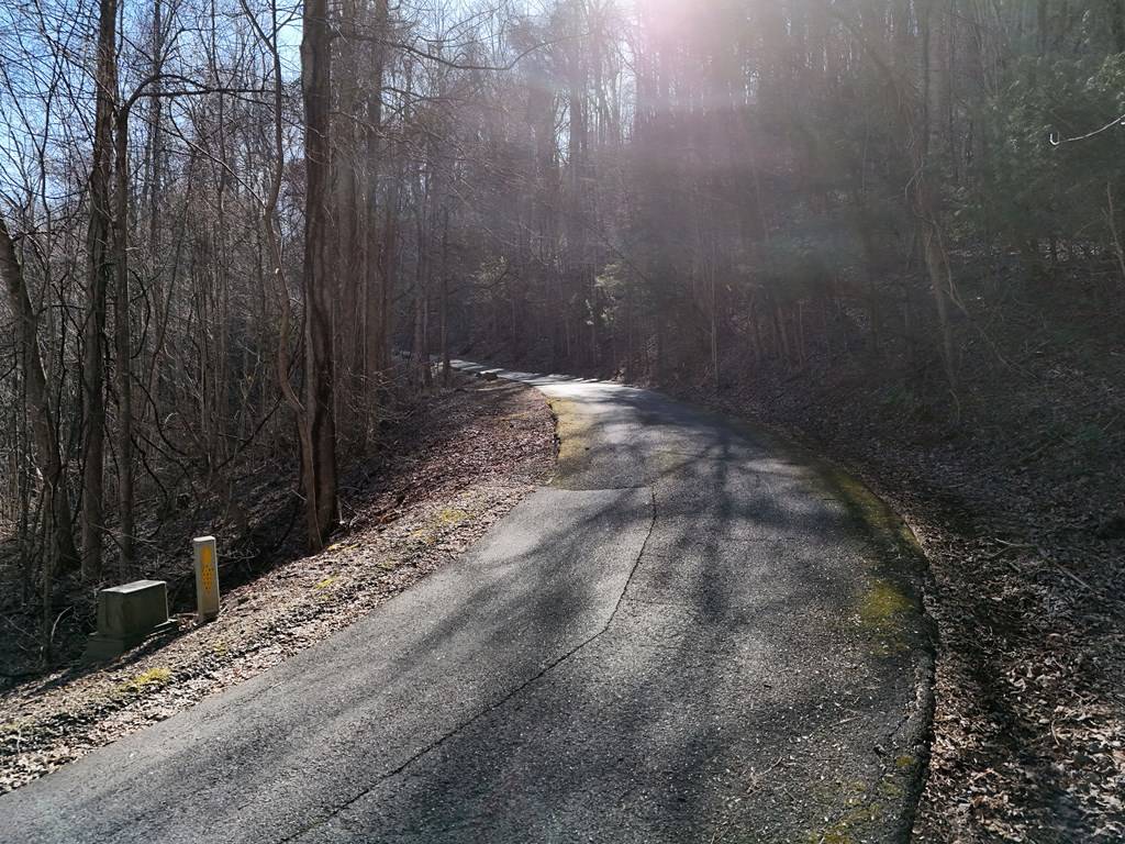 Blairsville, GA 30512,Lot E5 Flat Rock Gap Road