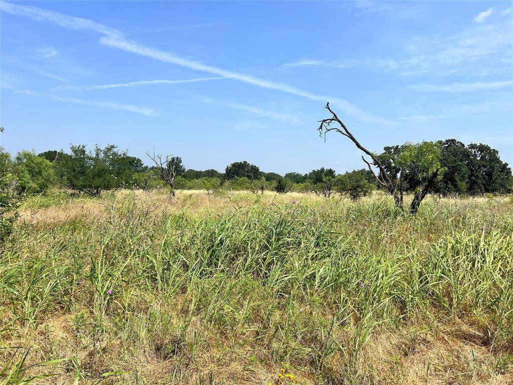 Brownwood, TX 76801,TBD Lot 65 Falcon Drive