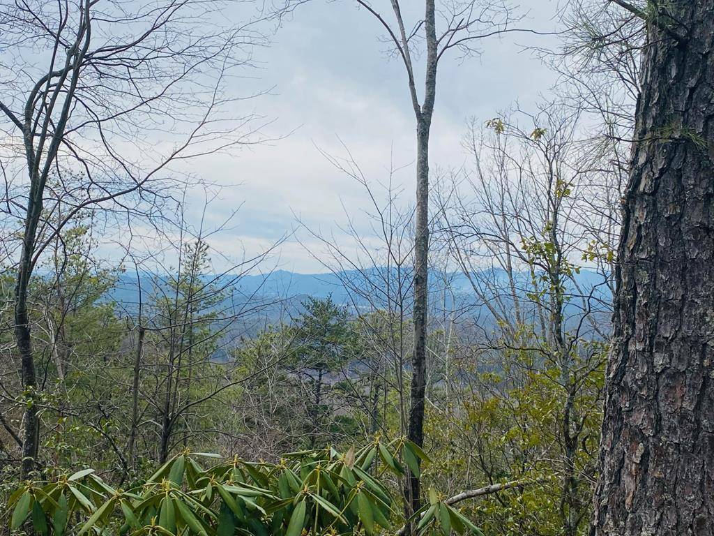 Andrews, NC 28901,Lot 46 Ridge View Drive