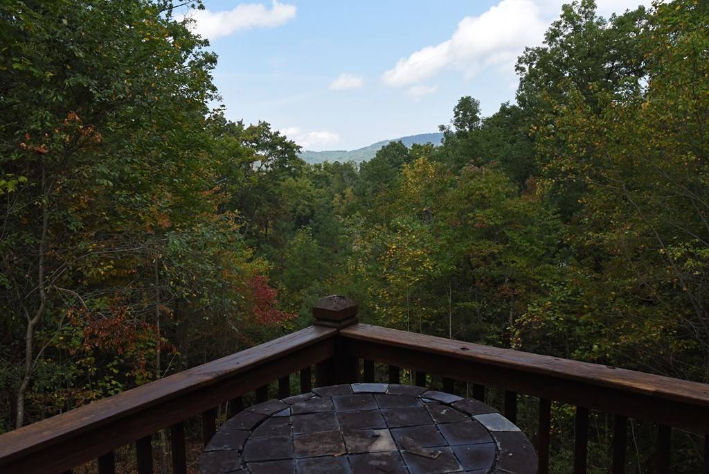 Mineral Bluff, GA 30559,170 Rooks Road