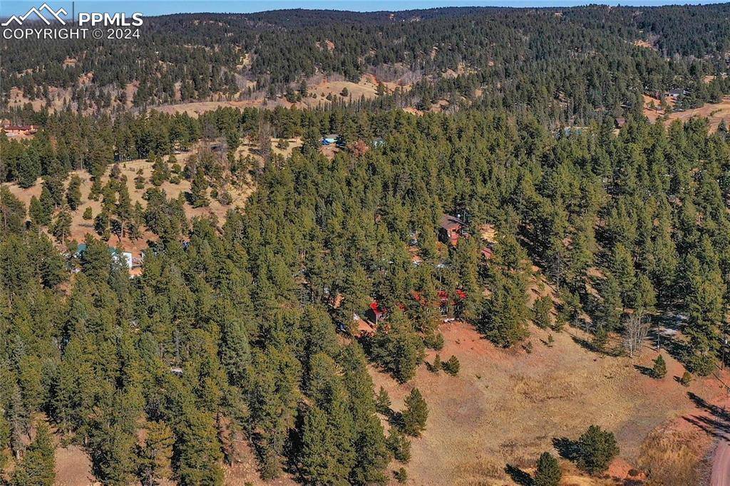 Florissant, CO 80816,683 Kingston DR