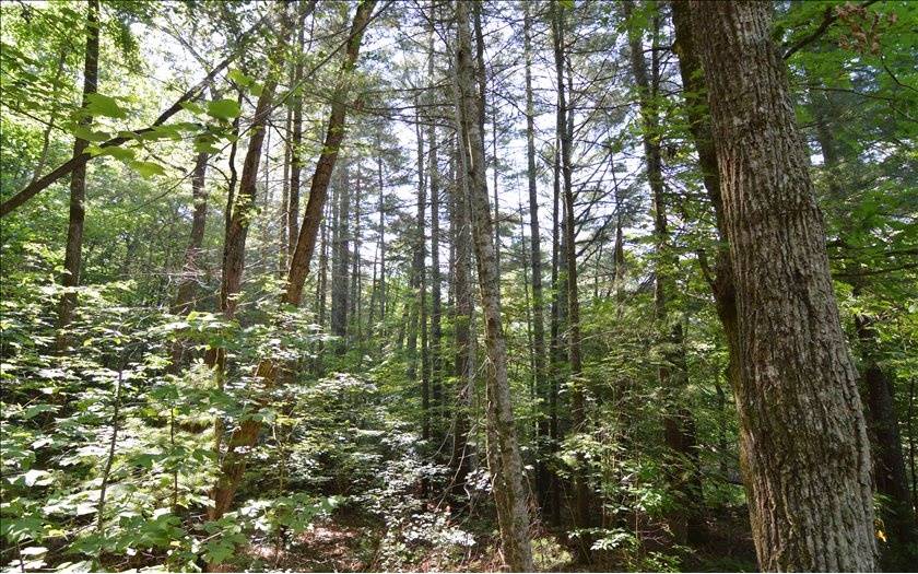 Hiawassee, GA 30546,LOT 6 Baker Lane