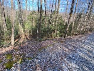 Blairsville, GA 30512,Lot 2 Hwy 129/19 S