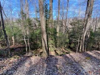 Blairsville, GA 30512,Lot 2 Hwy 129/19 S