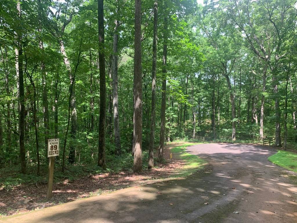 Young Harris, GA 30582,Lot 89 Broken Bow Trail