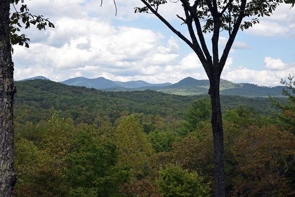 Mineral Bluff, GA 30559,256 Chigger Ridge Road