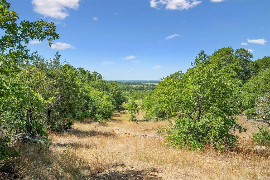 Bryson, TX 76427,TBD Armstrong Ln